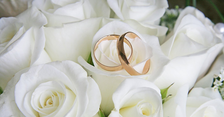 wedding rings on white roses