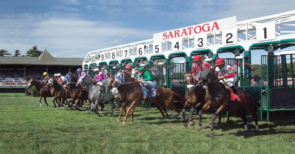 horses released from the starting gate at saratoga race course